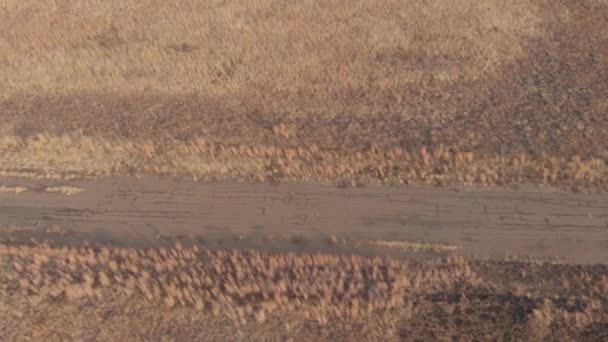 Aerial Tiro Mostrando Superfície Estrada Uma Antiga Pista Corrida Abandonada — Vídeo de Stock