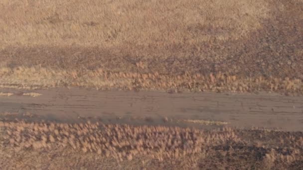 Aerial Shot Van Het Wegdek Van Een Oude Verlaten Racebaan — Stockvideo