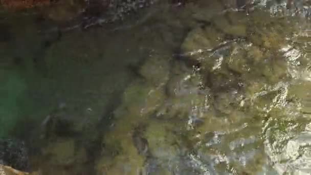 Sea Water Rushes Out Narrow Rocky Channel Tide Close — Stock video