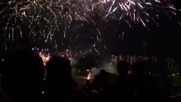 Ein Feuerwerksfinale Mit Menschen Ufer Des Arkansas River Wichita Kansas — Stockvideo