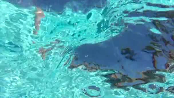 Havuz Suyunun Hemen Altındaki Görüntüyü — Stok video