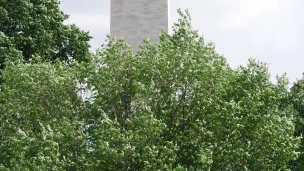 Inclinado Cerca Del Monumento Washington Través Algunos Árboles Ubicados Washington — Vídeos de Stock
