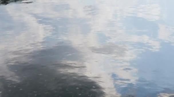 Water Reflection Pond National Mall Washington — Stock Video