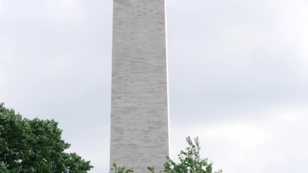 Inclinez Vous Près Monument Washington Travers Quelques Arbres Situés Washington — Video