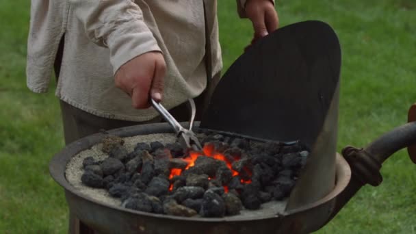 Revolutionary War Reinacter Blacksmith Puts Piece Metal Hot Coals Heat — Stock Video