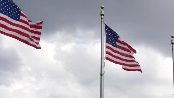 Close American Flags Washington Monument Located Washington Usa — ストック動画