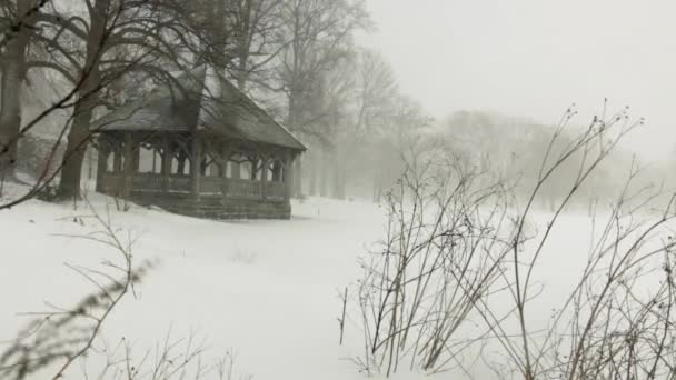 Lonely Gazebo Parque Durante Una Tormenta Nieve — Vídeos de Stock