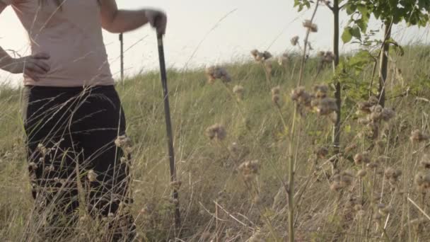 Woman Standing Walking Stick Countryside — Stock videók