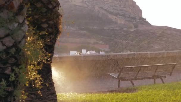 Sprinklery Navlhčené Trávou Nádherného Parku Palmami Vrcholu Kopce Při Východu — Stock video