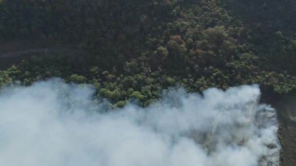 Amazonian Forest Fire Brazil 2019 Aerial Drone Shot Full Smoke — 图库视频影像