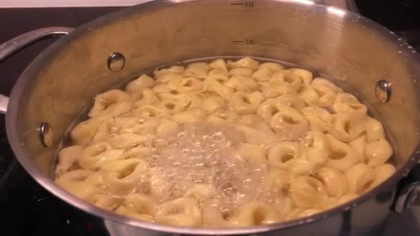 Boiling Pot Tortolini Pasta — Video Stock