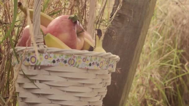 Basket Fresh Ripe Red Apples Bananas Hanging Countryside Fence — Stock Video