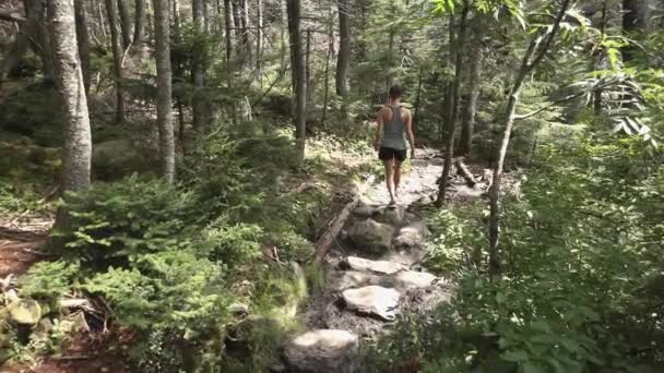 Woman Hiking Forest — Stock video