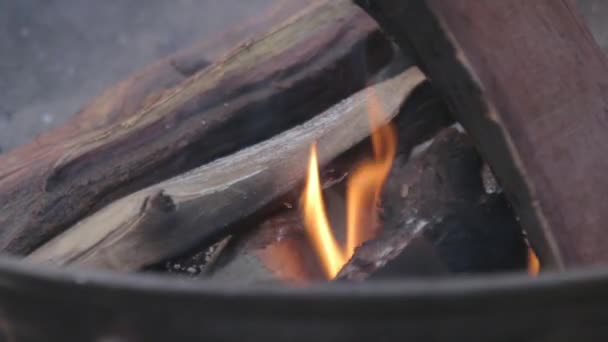 Timelapse Fire Going Stages Barbeque — Stock video