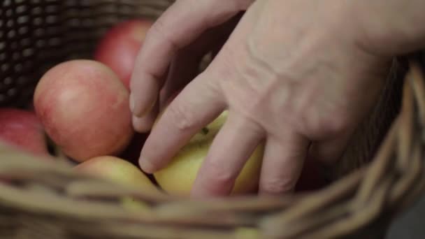 Frutta Raccolta Mano Cesto Mele Rosse Mature Fresche — Video Stock