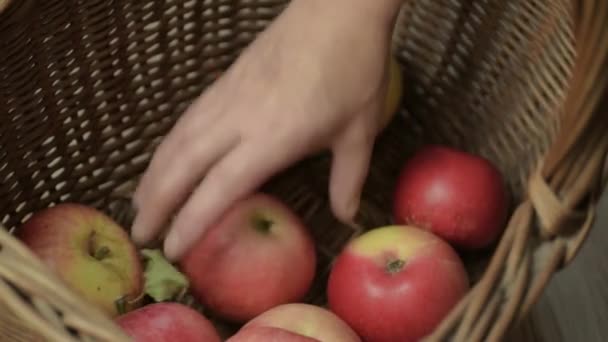 Рука Заповнює Кошик Свіжими Стиглими Червоними Жовтими Яблуками — стокове відео