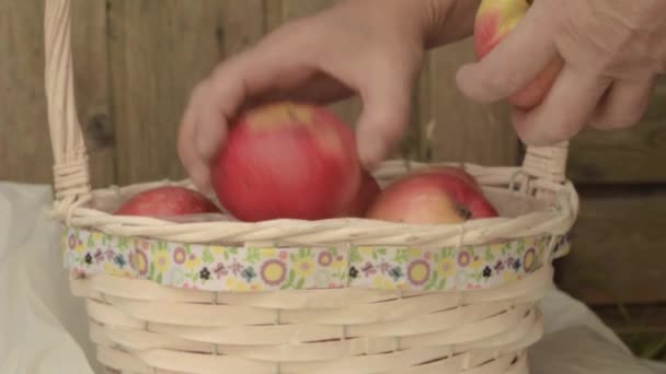 Cesto Appena Colto Mele Fresche Succose Rosse Gialle — Video Stock