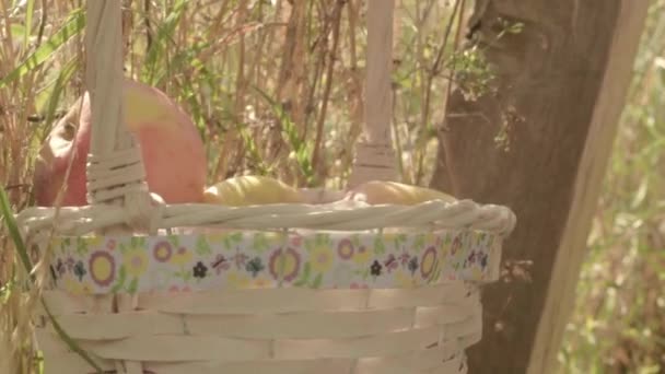 Hand Filling Basket Healthy Fruit Apple Banana Snack Basket Rural — Vídeos de Stock
