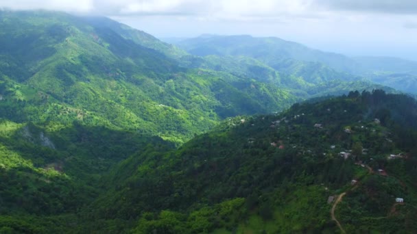 Widok Lotu Ptaka Góry Blue Mountains Jamajce Widokiem Parafię Portland — Wideo stockowe