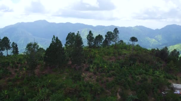 Aerial View Blue Mountains Jamaica Looking Portland Parish Saint Thomas — Video