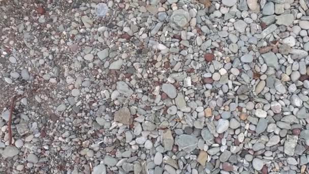 Top View Video Stones Beach Sea — Vídeo de stock
