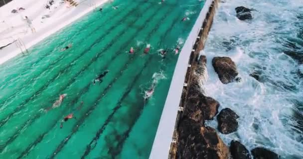 Aerial Shot Swimmers Pool Bondi Beach Australia — Stock videók
