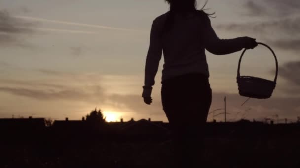 Silhueta Mulher Carregando Cesta Campo Pôr Sol — Vídeo de Stock