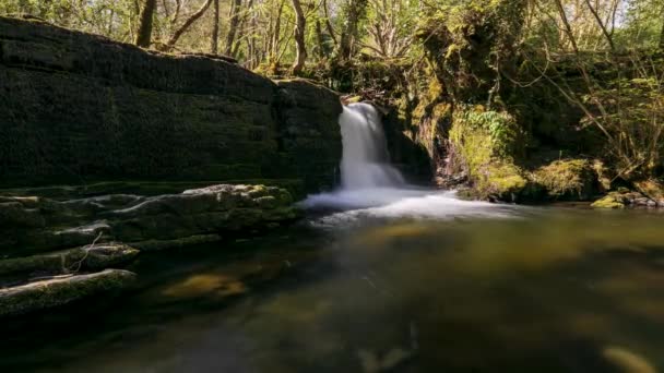 Spring Forest Cascade Καταρράκτες Στην Κομητεία Leitrim Στην Ιρλανδία — Αρχείο Βίντεο