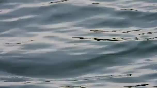 Рівні Хвилі Води Фоні Озера — стокове відео