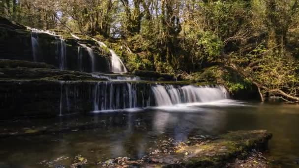 Spring Forest Cascade Cachoeiras Condado Leitrim Irlanda — Vídeo de Stock