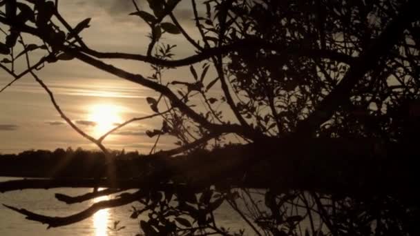 Güneş Ormanlık Alanda Hafif Esintiyle Gölün Üzerinde Batıyor — Stok video