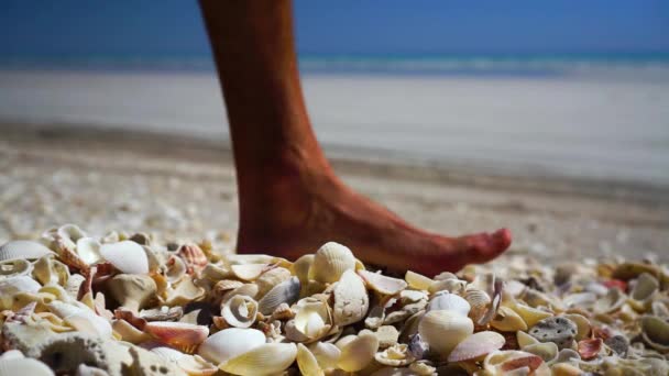Male Feet Walk Sea Shells Beach Ocean Background Stationary Close — Stock Video