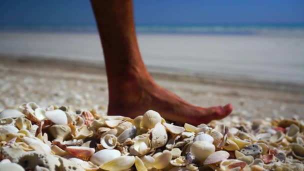 Slow Motion Male Feet Walking Pile Shells Low Stationary Close — Stockvideo