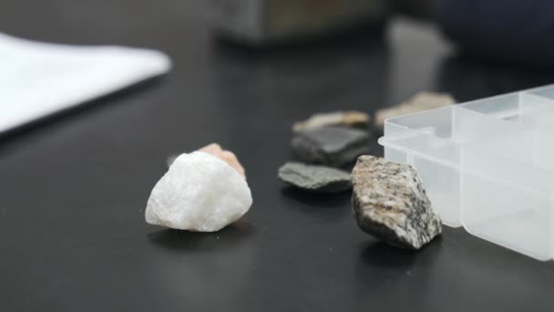 Studying Small Rocks Tabletop Placing Sorting Rocks College Geology Classroom — Vídeos de Stock