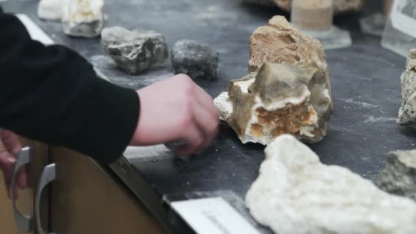 College Student Handling Rocks Opening Cabinets Geology Classroom Close Shot — ストック動画