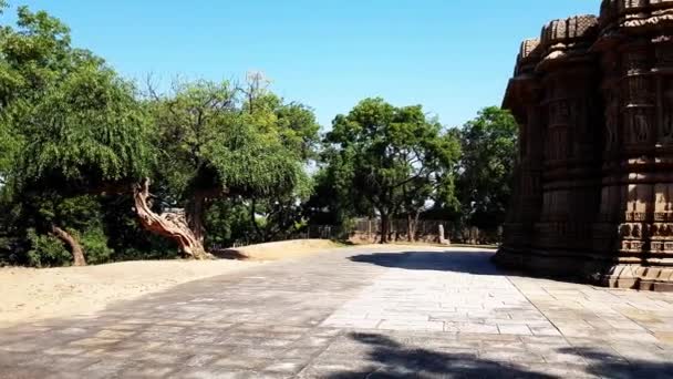 Dove Flies Intricately Carved Exterior Pillars Backside Sun Temple Modhera — Video