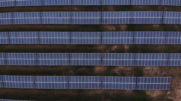 Aerial Shot Solar Panels Chile — 비디오