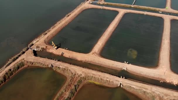 Salt Beds Portugal Salt Production Progress Aerial Dolly Panning Right — Stockvideo