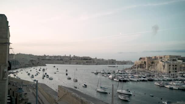 Harbour Valletta Malta National Ceremony Cannons Firing — Stok video
