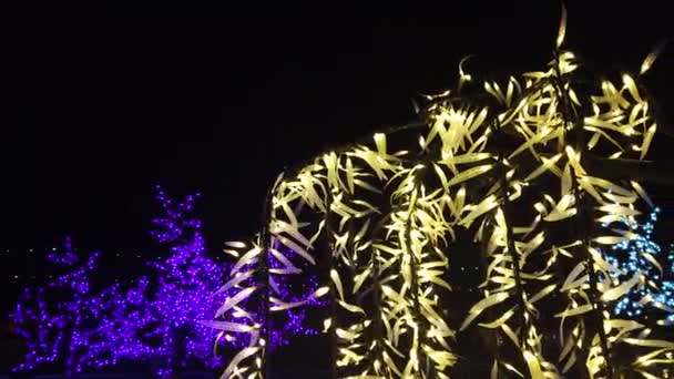 Illuminazioni Blackpool Nel 2019 Festival Annuale Delle Luci Fondato Nel — Video Stock