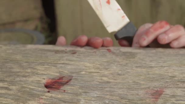 Exhausted Blood Stained Hands Blood Stained Knife — Stok video