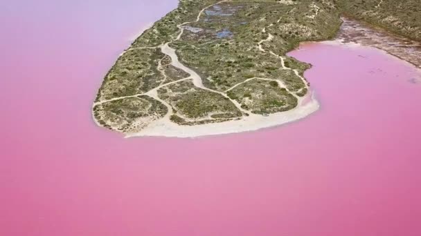 Aerial Shot Pink Water Lake Blue Ocean Background Tilt — ストック動画