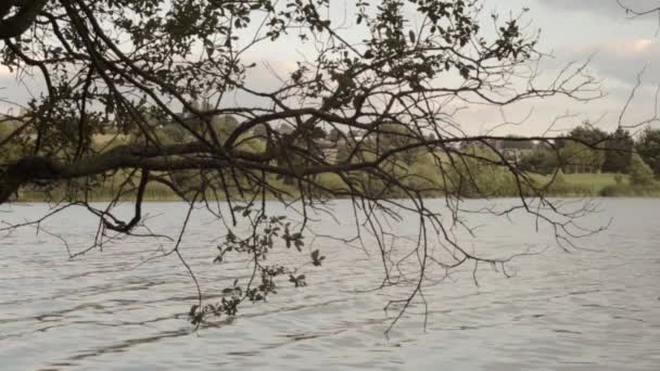 Rápido Fluindo Ondas Água Lago Ondulações Paisagem Através Galhos Árvores — Vídeo de Stock