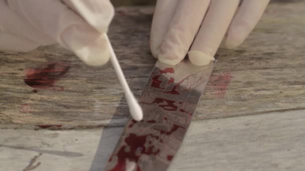 Forensic Scientist Gathers Blood Sample Evidence Crime Scene — стоковое видео