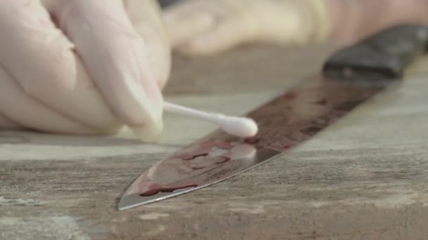 Forensic Scientist Gathers Blood Sample Evidence Crime Scene Close — Vídeo de stock