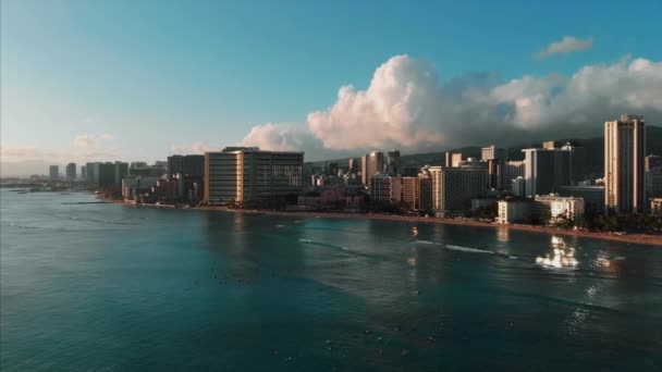 Imagens Drones Aéreos Honolulu Havaí Bela Propriedade Edifícios Cidade Palmeiras — Vídeo de Stock