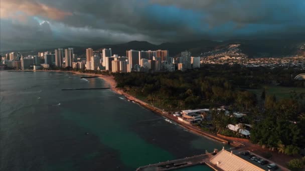 Letecké Záběry Letounu Honolulu Havaji Krásné Nemovitosti Budovy Městě Palmy — Stock video