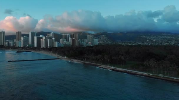 Luchtdrone Beelden Van Honolulu Hawaï Prachtig Vastgoed Gebouwen Stad Palmbomen — Stockvideo