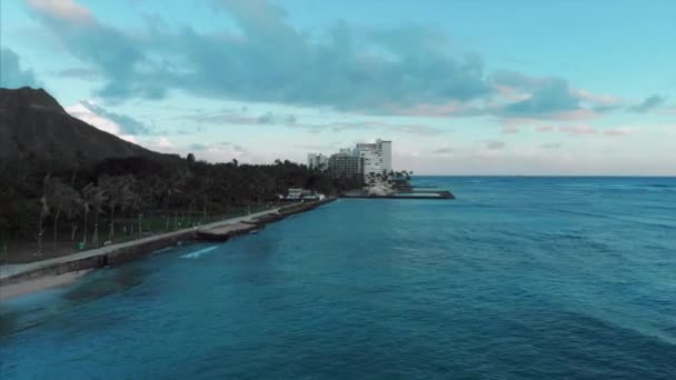 Légi Felvétel Honoluluról Hawaiiról Gyönyörű Ingatlan Épületek Városban Pálmafák Óceán — Stock videók