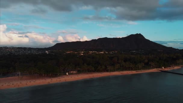 Imagens Drones Aéreos Honolulu Havaí Bela Propriedade Edifícios Cidade Palmeiras — Vídeo de Stock